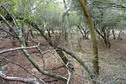 #4: View from the confluence towards the east