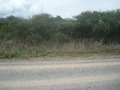 #6: View from the route 03