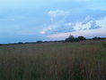 #2: Vista Oeste