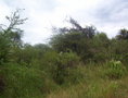 #2: Vista Oeste