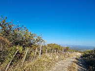 #4: Vista hacia el sur - View toward the south