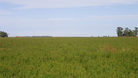 #4: Vista hacia el oeste - View to the west