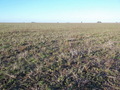 #3: East View from the Confluence