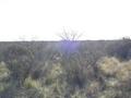 #3: Vista hacia el Oeste - View to the West