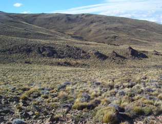 #1: Vista General. General view