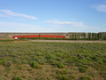 #7: Puente sobre rio Santa Cruz - Bridge over Santa Cruz river