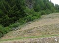 #4: West