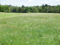 #5: View to the East