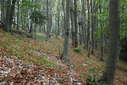 #4: South view