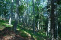 #2: View East