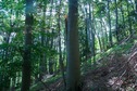 #4: View West
