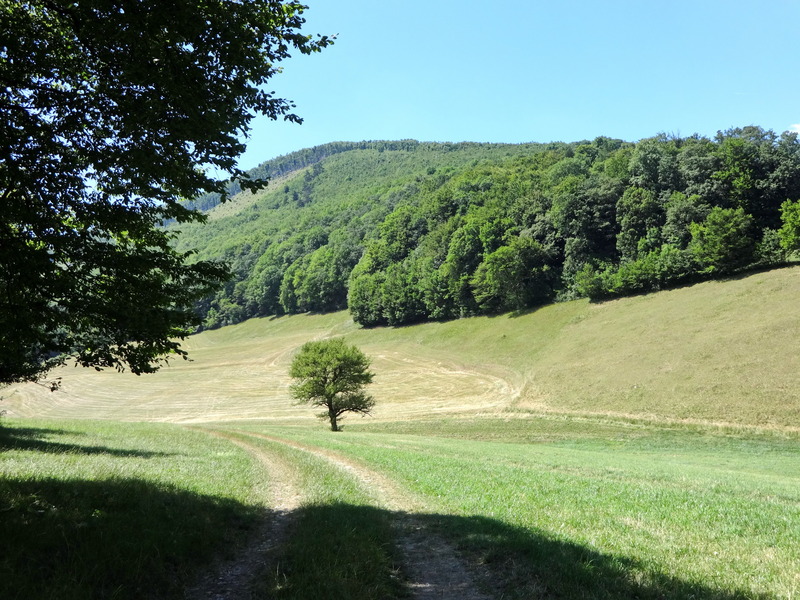 Approaching road