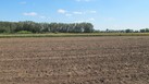 #4: South