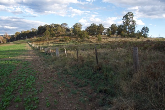 #1: The confluence point is located near the boundary between a farm field and feral land surrounding a scenic hill.  (This is also a view to the South.)