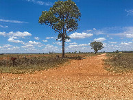 #8: Looking South towards the point from the farm entrance, 450m away