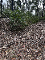 #3: View east from the confluence point