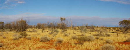 #1: General View of Confluence Area