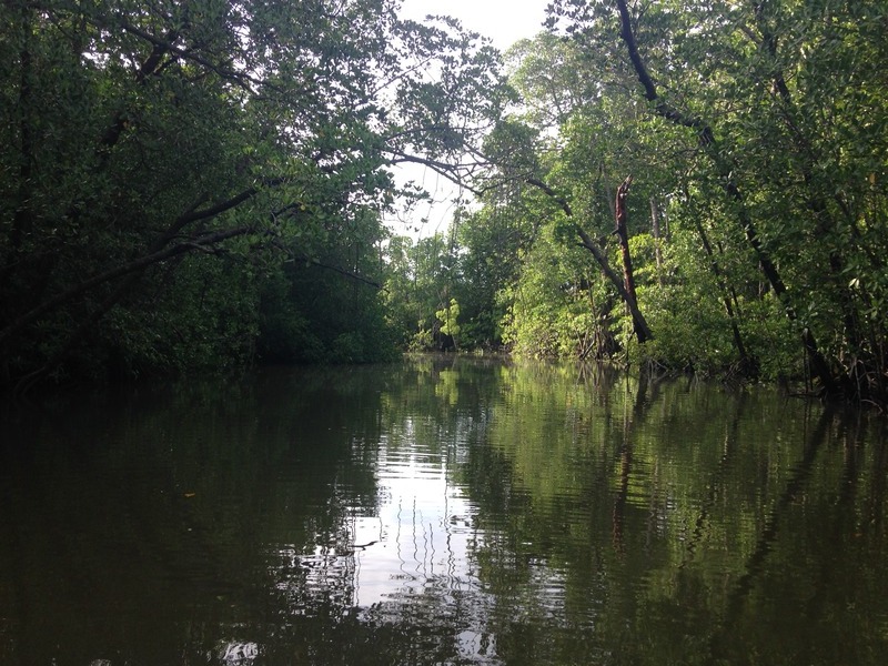 #2: Looking NE from creek bank, some 1500 m from confluence