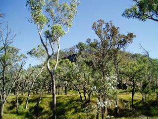 #1: General terrain to southwest of Confluence