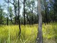 #3: View north from Confluence