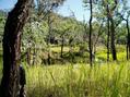 #4: View west from Confluence