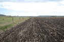 #2: View West (towards the New England Highway)