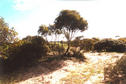 #2: Looking north.