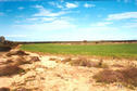 #3: Looking south - farm field.