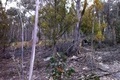 Visit #7: [24-Oct-12]