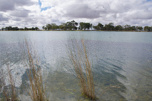 #1: The confluence point lies 54m away, in this small lake.  (This is also a view to the East.)