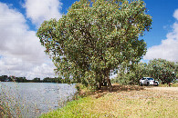 #3: View South, from 54m West of the point