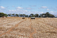 #7: A close-up view of the farm buildings to the West