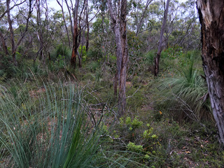 #1: View to the South from the Confluence Point