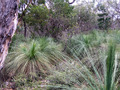 #2: View to the West from the Confluence Point