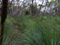 #3: View to the North from the Confluence Point