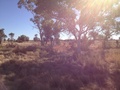 #2: Looking West, Car in distance