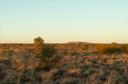 #3: South from the Confluence. The hill in the background is "Moses Chair"