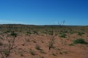 #3: Confluence looking East