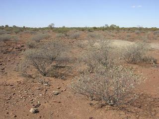 #1: View of the confluence looking east