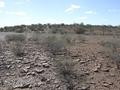 #2: View from the confluence looking north