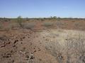 #3: View from the confluence looking east