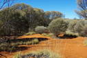 #4: Looking East from the Confluence