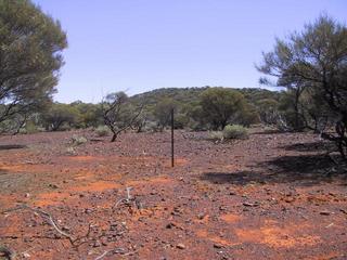 #1: Confluence looking north