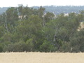 #2: View North