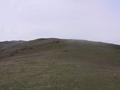 #4: Looking uphill to the West