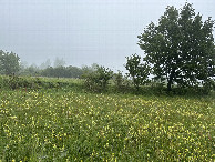 #4: View to the North
