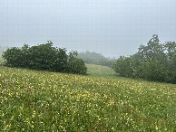 #5: View to the East