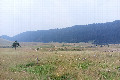 44°N 19°E preview image