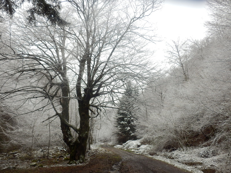 Impression during the hike