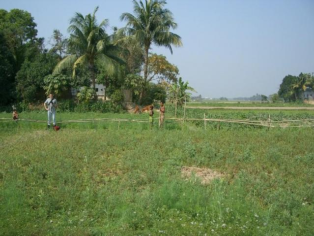 Looking North from the confluence